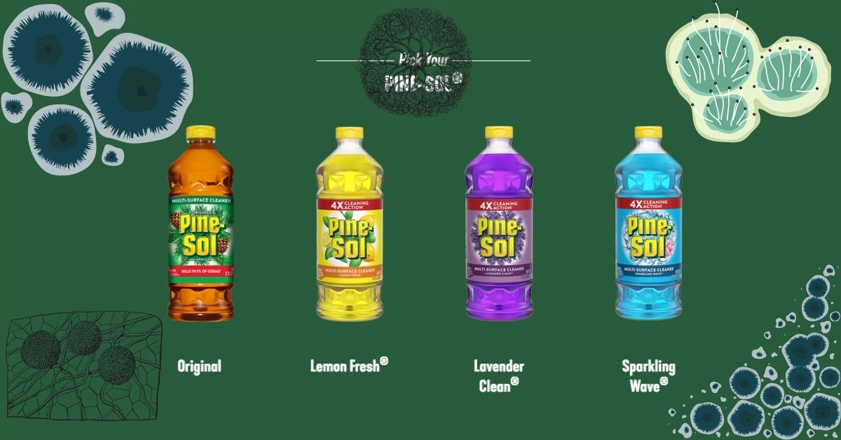 Read more about the article Does Pine Sol Kill Mold And Mildew? The Answer Will Surprise You!