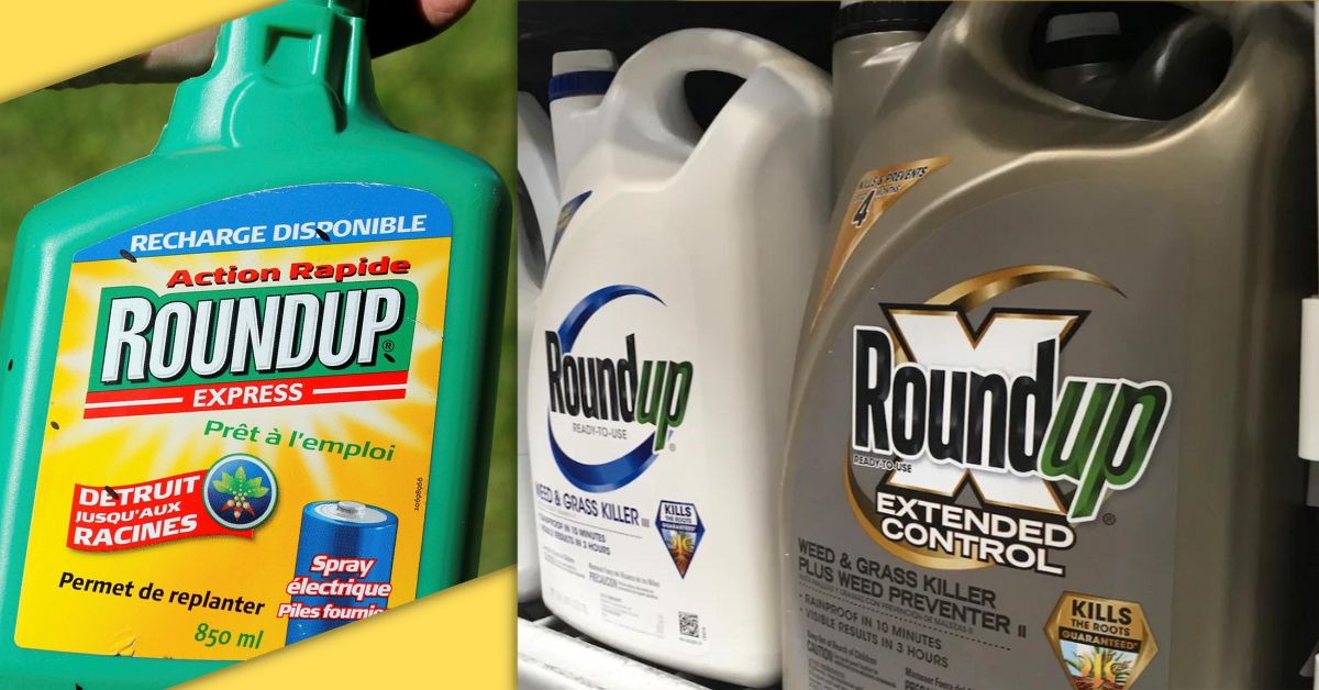 You are currently viewing The Bayer Roundup Lawsuit Is Denied By American Court