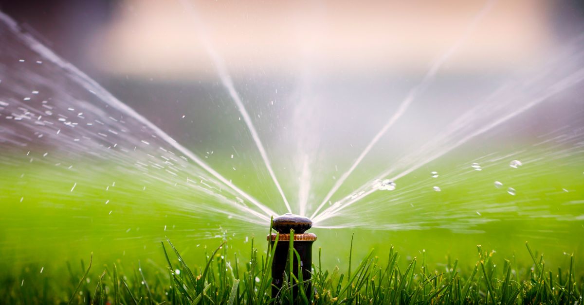 using sprinklers in the garden - when is the best time to water your lawn -https://organicgardeningeek.com