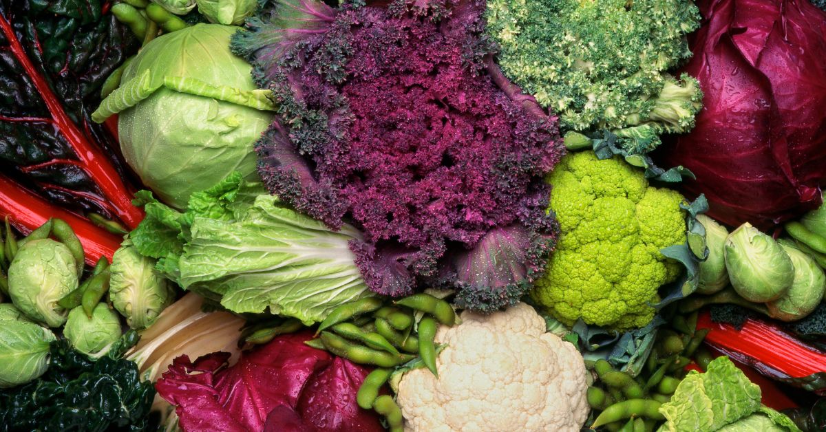 Cruciferous Vegetables list to eat to prevent cancer https://organicgardeningeek.com