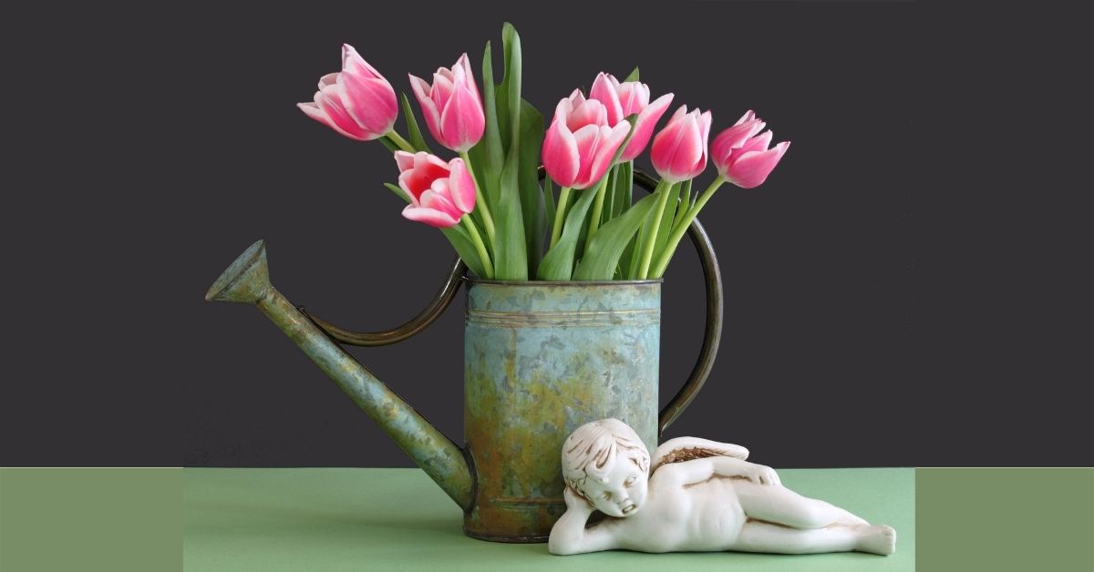 Forcing tulips indoors - how to grow tulips in water - https://organicgardeningeek.com