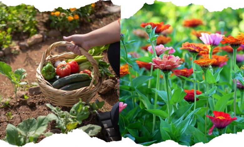 July gardening tips https://organicgardeningeek.com