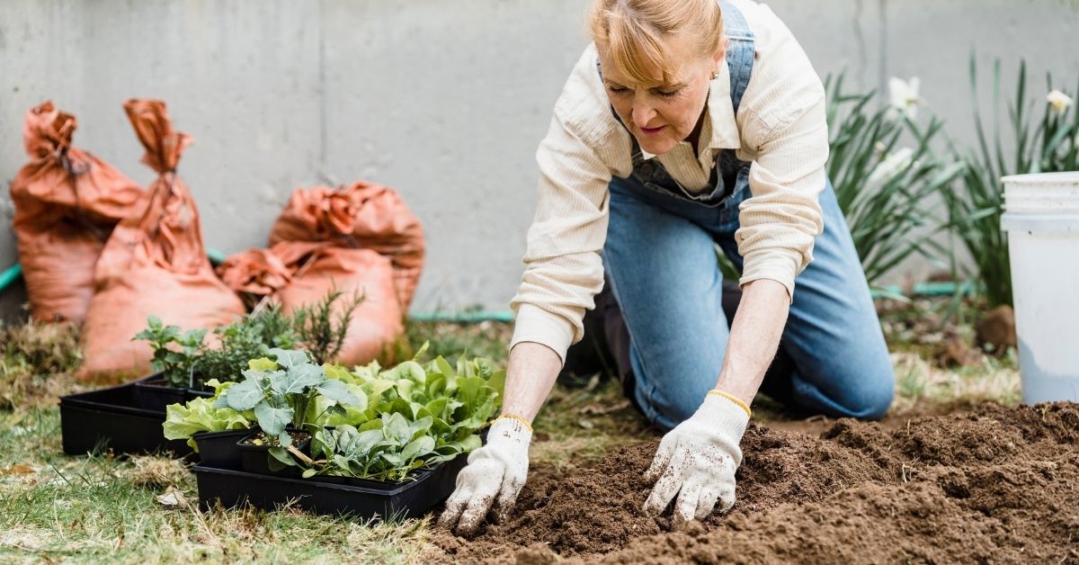 17 MUST-DO Things For A Successful July Gardening https://organicgardeningeek.com