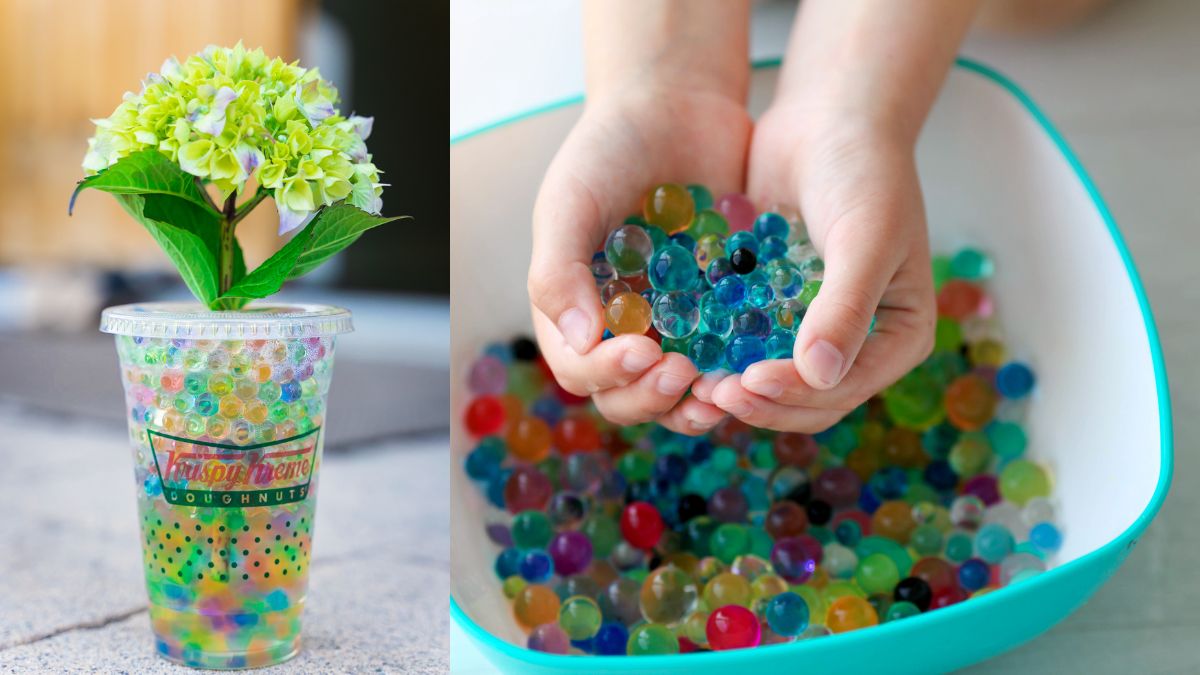 You are currently viewing Are Orbeez Biodegradable? Here Are 19 Facts You Need To Know