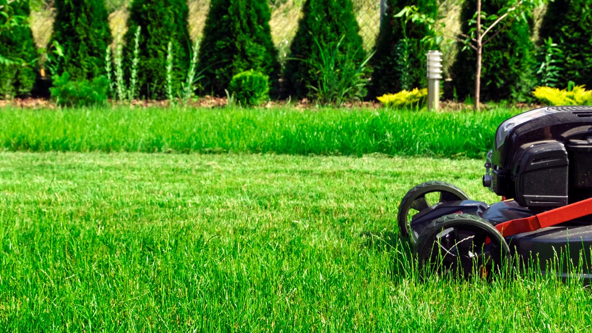 Returns Nutrients to Your Lawn by mowing https://organicgardeningeek.com
