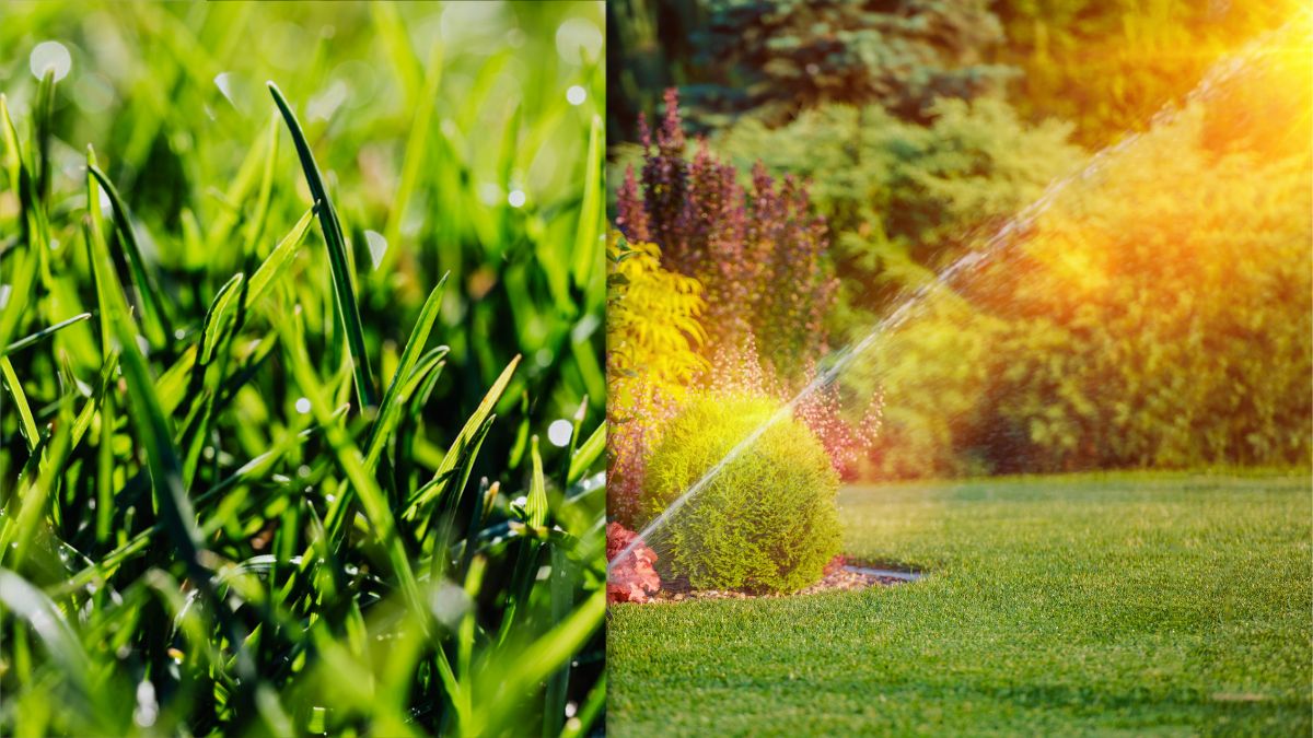 You are currently viewing Spring Lawn Care | 17 Steps To Prepare Your Lawn For Spring Growth