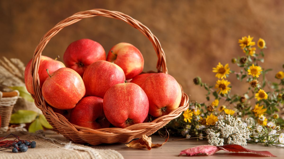 Store Apples: Storing apples for long term freshness https://organicgardeningeek.com