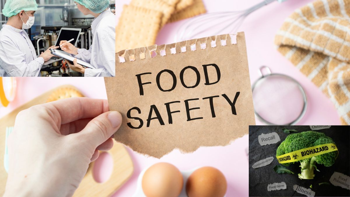 What Is HACCP And Why Is It Important For Food Safety With 7 Principles 