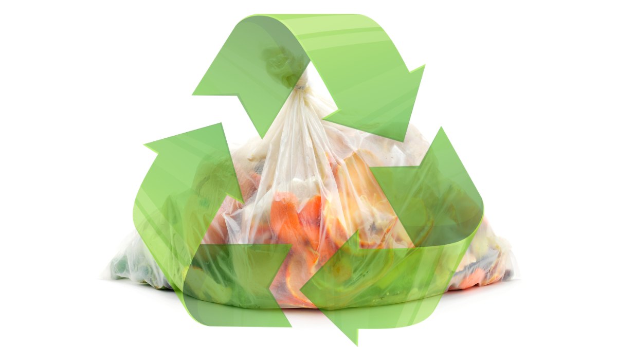 Read more about the article The Truth About Biodegradable Garbage Bags: Are They Really Biodegradable?