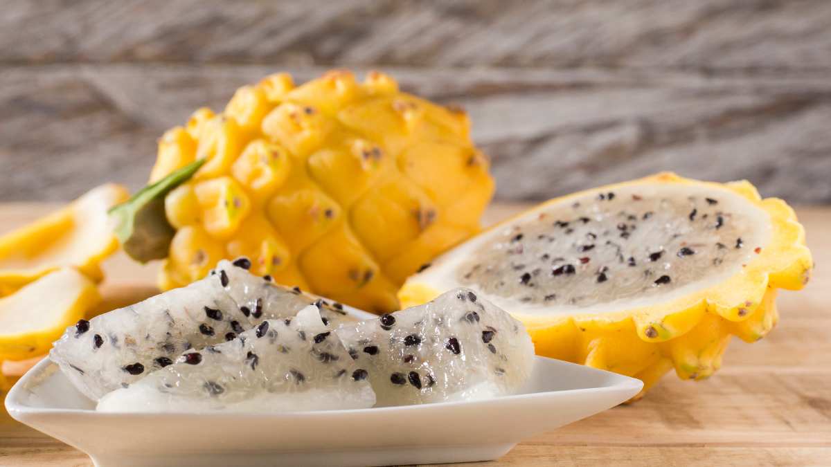 The Yellow Dragon Fruit https://organicgardeningeek.com