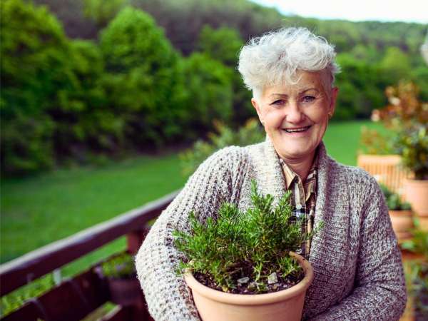 Organic gardening for seniors https://organicgardeningeek.com