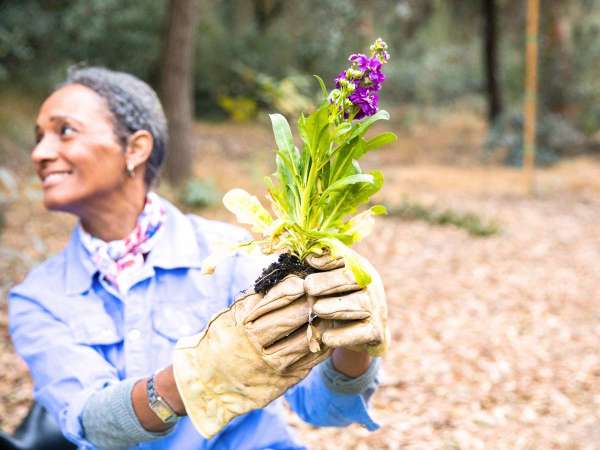 Gardening tools for seniorshttps://organicgardeningeek.com