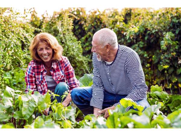 Read more about the article How Organic Gardening Can Benefit Seniors’ Health and Well-Being?